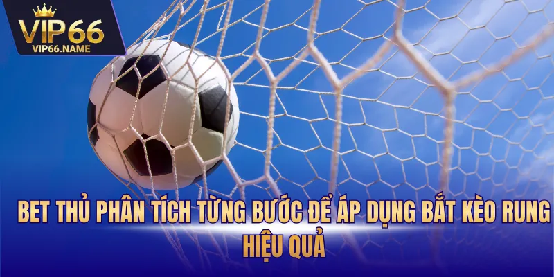 Bet thủ phân tích từng bước để áp dụng bắt kèo rung hiệu quả