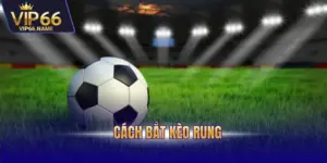 Cách bắt kèo rung