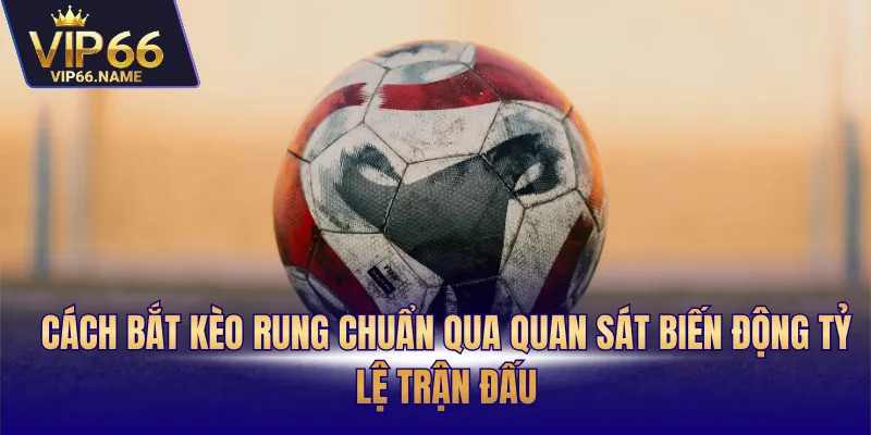 Cách bắt kèo rung chuẩn qua quan sát biến động tỷ lệ trận đấu