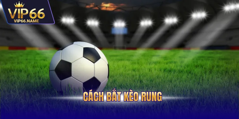 Cách bắt kèo rung
