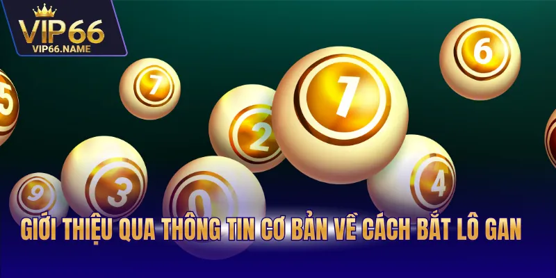 Giới thiệu qua thông tin cơ bản về cách bắt lô gan