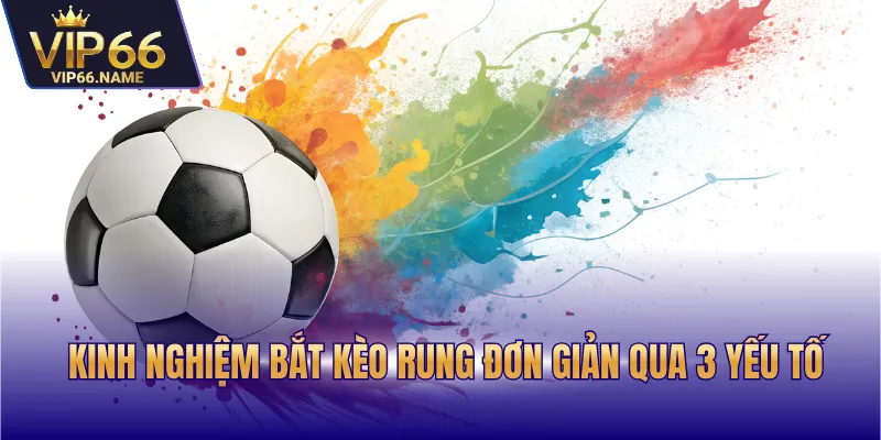 Kinh nghiệm bắt kèo rung đơn giản qua 3 yếu tố